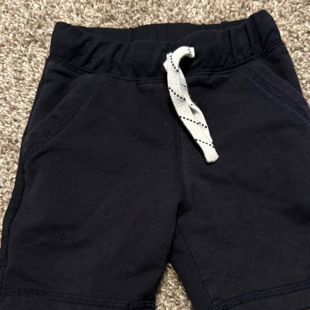 Tommy Bahama Shorts